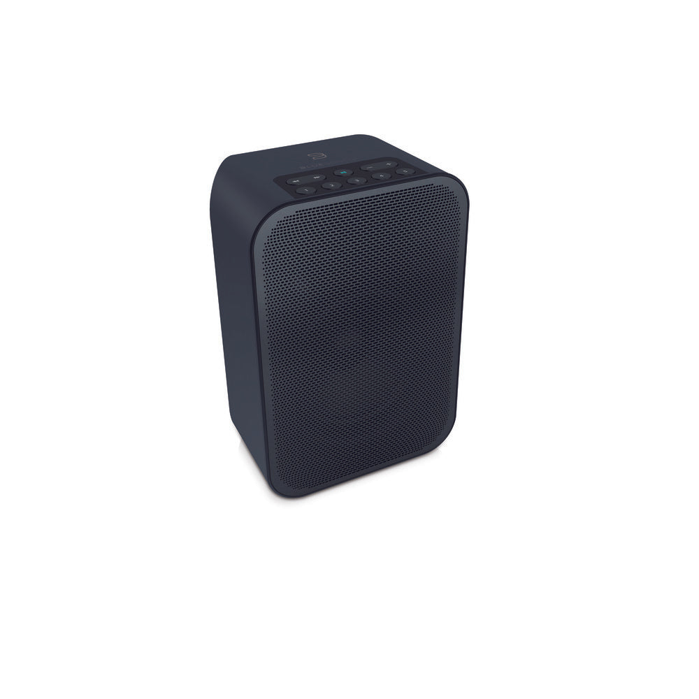 Bluesound PULSE FLEX 2i  Portable Wireless Multi-Room Smart Speaker with Bluetooth - Black - Works with Alexa and Siri